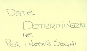 06 determinazione