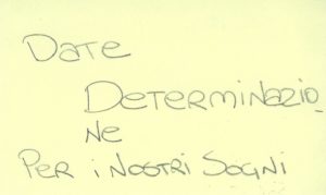 06 determinazione